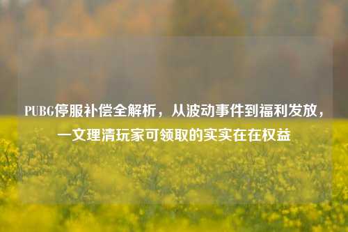 PUBG停服补偿全解析,从波动事件到福利发放,一文理清玩家可领取的实实在在权益
