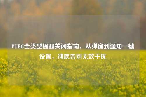 PUBG全类型提醒关闭指南,从弹窗到通知一键设置,彻底告别无效干扰