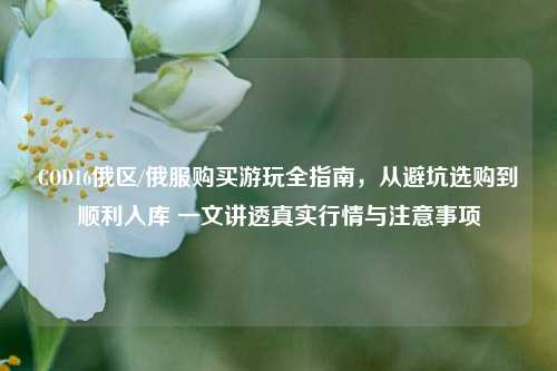 COD16俄区/俄服购买游玩全指南,从避坑选购到顺利入库 一文讲透真实行情与注意事项