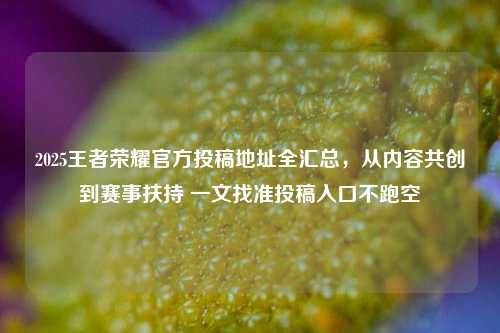 2025王者荣耀官方投稿地址全汇总，从内容共创到赛事扶持 一文找准投稿入口不跑空
