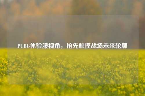 PUBG体验服视角,抢先触摸战场未来轮廓