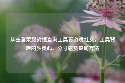 从王者荣耀战绩查询工具看游戏社交，工具背后的胜负心、分寸感及查询方法