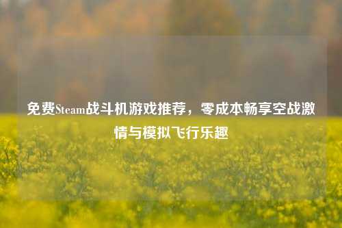 免费Steam战斗机游戏推荐，零成本畅享空战激情与模拟飞行乐趣