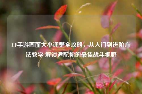 CF手游画面大小调整全攻略，从入门到进阶方法教学 解锁适配你的最佳战斗视野