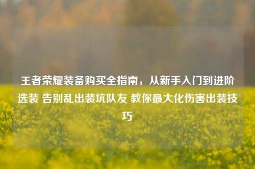 王者荣耀装备购买全指南，从新手入门到进阶选装 告别乱出装坑队友 教你最大化伤害出装技巧