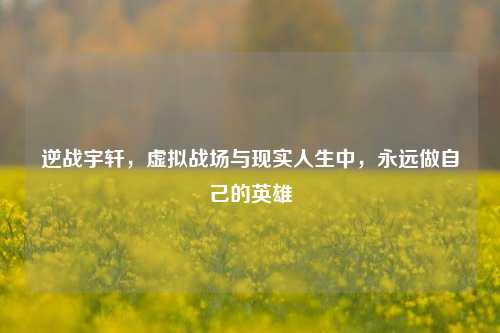 逆战宇轩,虚拟战场与现实人生中,永远做自己的英雄