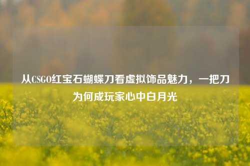 从CSGO红宝石蝴蝶刀看虚拟饰品魅力，一把刀为何成玩家心中白月光