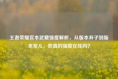 王者荣耀宫本武藏强度解析，从版本弃子到版本宠儿，他真的强度在线吗？