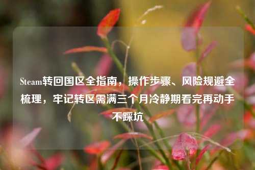 Steam转回国区全指南，操作步骤、风险规避全梳理，牢记转区需满三个月冷静期看完再动手不踩坑