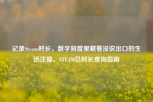 记录Steam时长，数字刻度里藏着没说出口的生活注脚，STEAM总时长查询指南