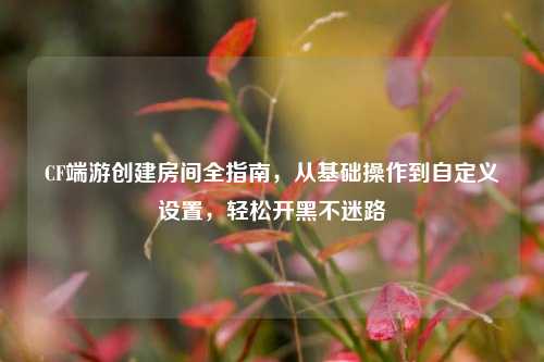 CF端游创建房间全指南，从基础操作到自定义设置，轻松开黑不迷路