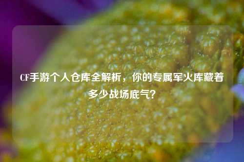 CF手游个人仓库全解析，你的专属军火库藏着多少战场底气？