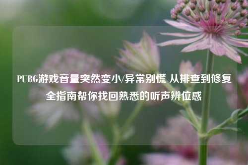 PUBG游戏音量突然变小/异常别慌 从排查到修复全指南帮你找回熟悉的听声辨位感