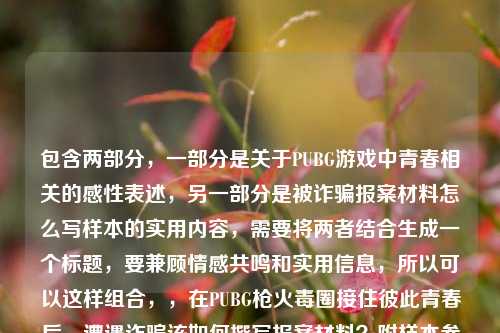 包含两部分，一部分是关于PUBG游戏中青春相关的感性表述，另一部分是被诈骗报案材料怎么写样本的实用内容，需要将两者结合生成一个标题，要兼顾情感共鸣和实用信息，所以可以这样组合，，在PUBG枪火毒圈接住彼此青春后，遭遇诈骗该如何撰写报案材料？附样本参考