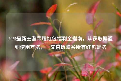 2025最新王者荣耀红包福利全指南，从获取渠道到使用方法，一文讲透峡谷所有红包玩法