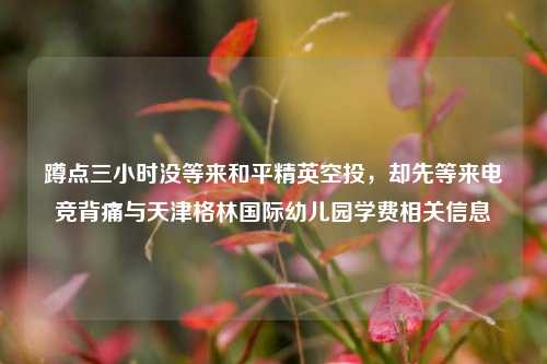蹲点三小时没等来和平精英空投，却先等来电竞背痛与天津格林国际幼儿园学费相关信息