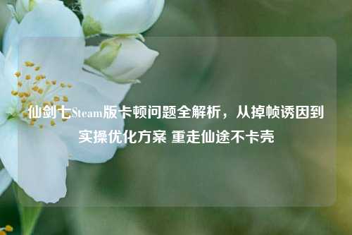 仙剑七Steam版卡顿问题全解析，从掉帧诱因到实操优化方案 重走仙途不卡壳