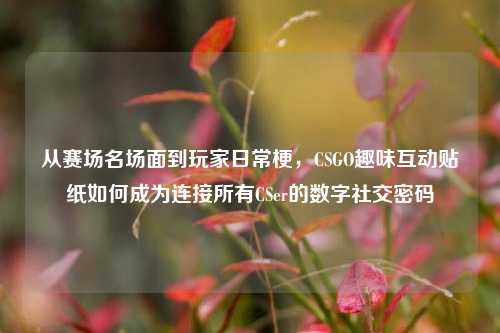 从赛场名场面到玩家日常梗，CSGO趣味互动贴纸如何成为连接所有CSer的数字社交密码