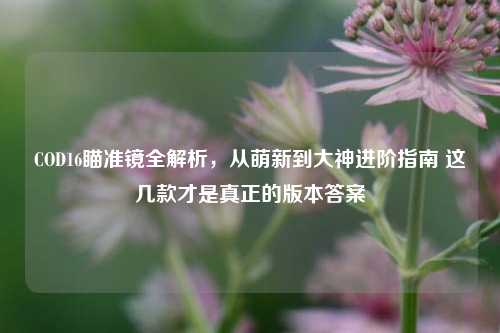 COD16瞄准镜全解析，从萌新到大神进阶指南 这几款才是真正的版本答案