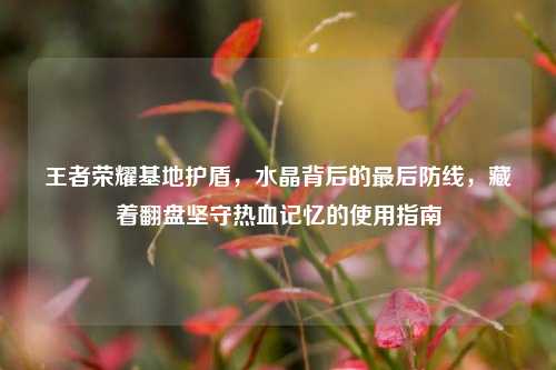 王者荣耀基地护盾，水晶背后的最后防线，藏着翻盘坚守热血记忆的使用指南