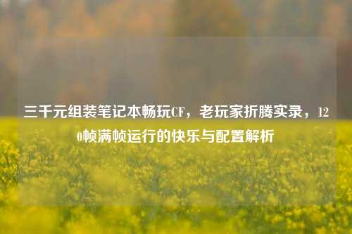 三千元组装笔记本畅玩CF，老玩家折腾实录，120帧满帧运行的快乐与配置解析