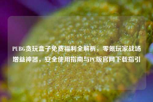 PUBG贪玩盒子免费福利全解析,零氪玩家战场增益神器,安全使用指南与PC版官网下载指引