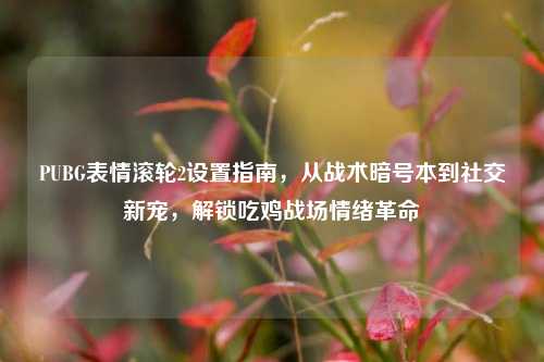 PUBG表情滚轮2设置指南，从战术暗号本到社交新宠，解锁吃鸡战场情绪革命