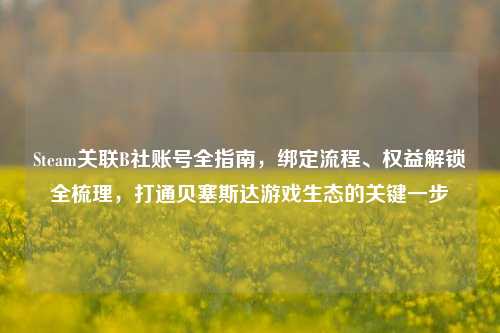 Steam关联B社账号全指南,绑定流程、权益解锁全梳理,打通贝塞斯达游戏生态的关键一步