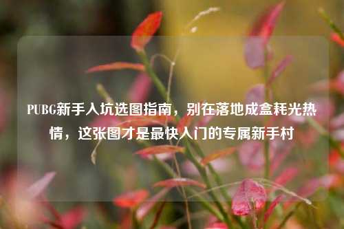 PUBG新手入坑选图指南,别在落地成盒耗光热情,这张图才是最快入门的专属新手村