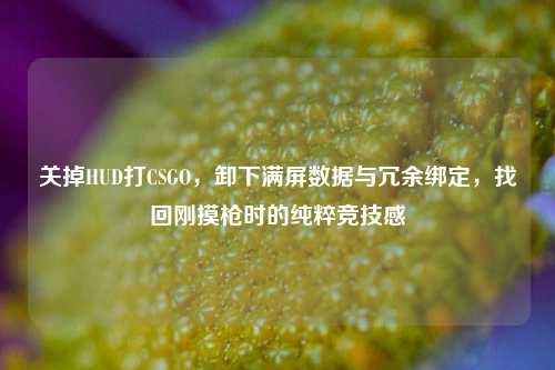 关掉HUD打CSGO,卸下满屏数据与冗余绑定,找回刚摸枪时的纯粹竞技感