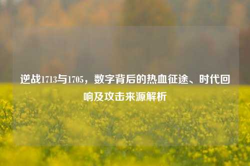逆战1713与1705，数字背后的热血征途、时代回响及攻击来源解析