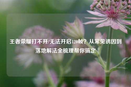 王者荣耀打不开/无法开启120帧？从常见诱因到落地解法全梳理帮你搞定
