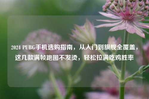 2024 PUBG手机选购指南,从入门到旗舰全覆盖,这几款满帧跑图不发烫,轻松拉满吃鸡胜率