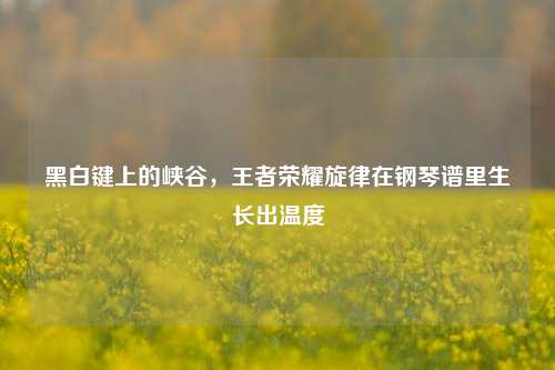 黑白键上的峡谷，王者荣耀旋律在钢琴谱里生长出温度