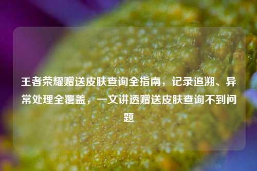 王者荣耀赠送皮肤查询全指南，记录追溯、异常处理全覆盖，一文讲透赠送皮肤查询不到问题