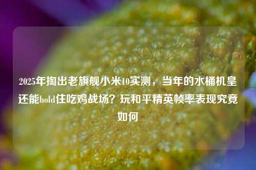 2025年掏出老旗舰小米10实测，当年的水桶机皇还能hold住吃鸡战场？玩和平精英帧率表现究竟如何