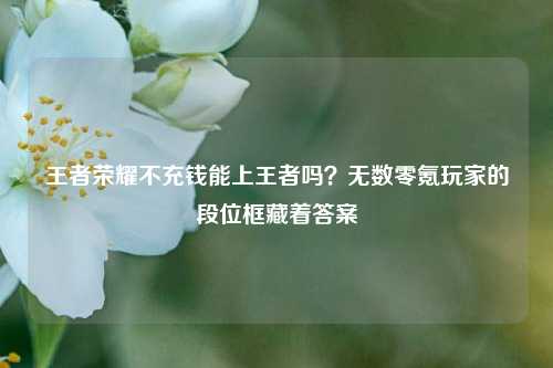 王者荣耀不充钱能上王者吗？无数零氪玩家的段位框藏着答案
