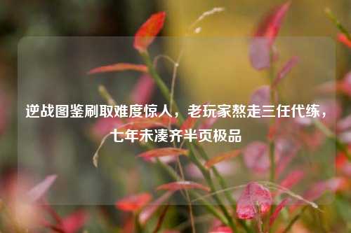 逆战图鉴刷取难度惊人,老玩家熬走三任代练,七年未凑齐半页极品