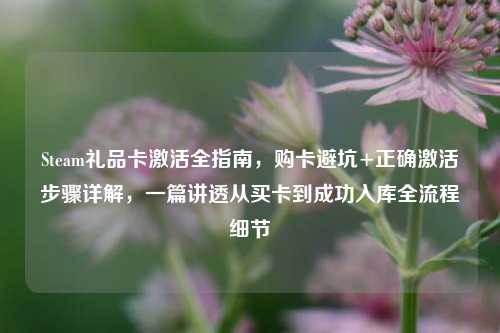 Steam礼品卡激活全指南，购卡避坑+正确激活步骤详解，一篇讲透从买卡到成功入库全流程细节