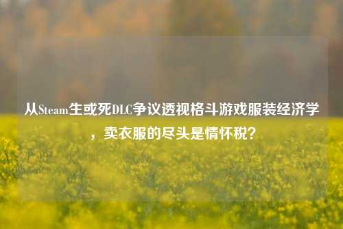 从Steam生或死DLC争议透视格斗游戏服装经济学,卖衣服的尽头是情怀税?