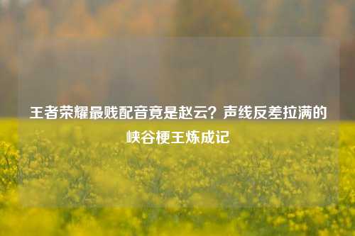 王者荣耀最贱配音竟是赵云？声线反差拉满的峡谷梗王炼成记