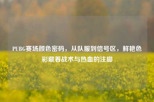 PUBG赛场颜色密码，从队服到信号区，鲜艳色彩藏着战术与热血的注脚