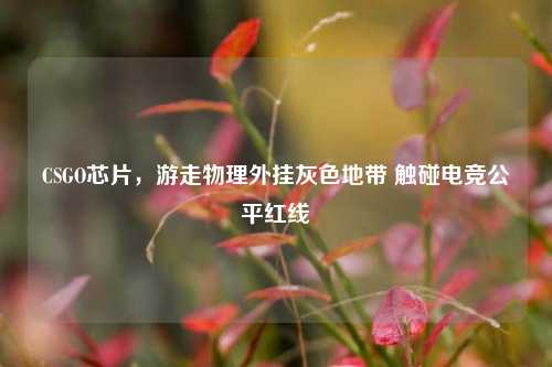 CSGO芯片，游走物理外挂灰色地带 触碰电竞公平红线