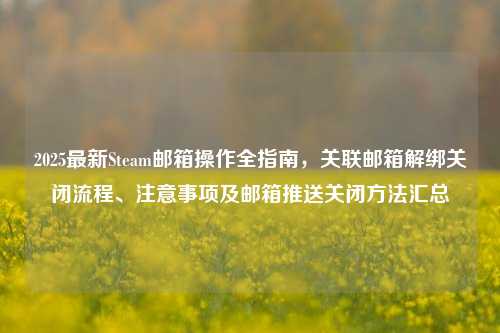 2025最新Steam邮箱操作全指南，关联邮箱解绑关闭流程、注意事项及邮箱推送关闭方法汇总