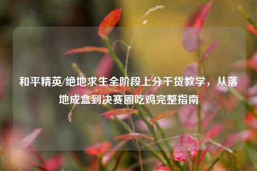 和平精英/绝地求生全阶段上分干货教学，从落地成盒到决赛圈吃鸡完整指南