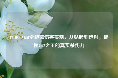 PUBG AKM全距离伤害实测,从贴脸到远射,揭秘7.62之王的真实杀伤力