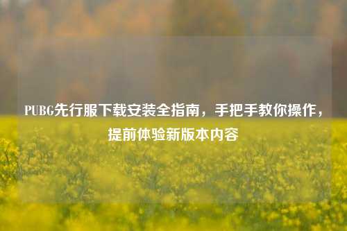 PUBG先行服下载安装全指南，手把手教你操作，提前体验新版本内容