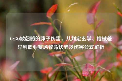 CSGO被忽略的脖子伤害，从判定玄学、枪械差异到职业赛场致命伏笔及伤害公式解析
