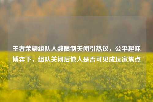 王者荣耀组队人数限制关闭引热议,公平趣味博弈下,组队关闭后他人是否可见成玩家焦点