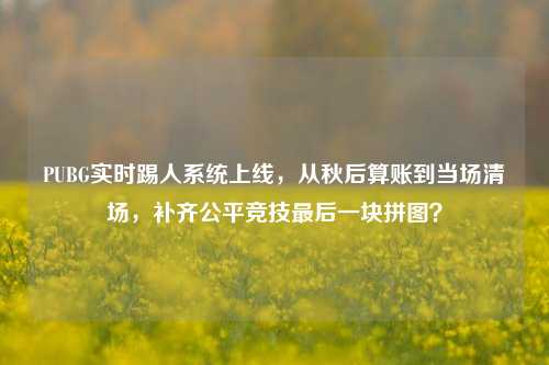 PUBG实时踢人系统上线，从秋后算账到当场清场，补齐公平竞技最后一块拼图？